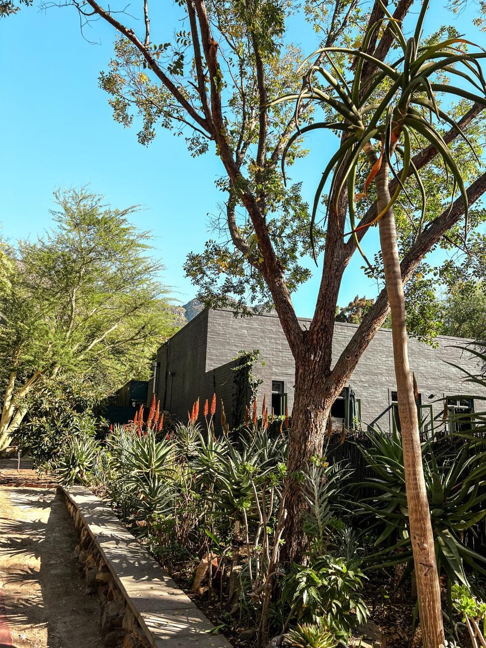 Property building, Garden view