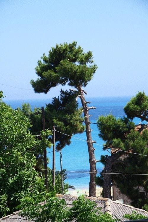 Day, Sea view