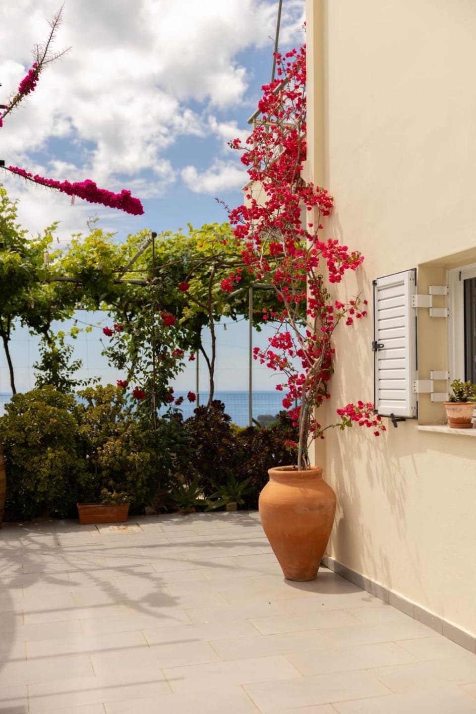 Garden, Balcony/Terrace