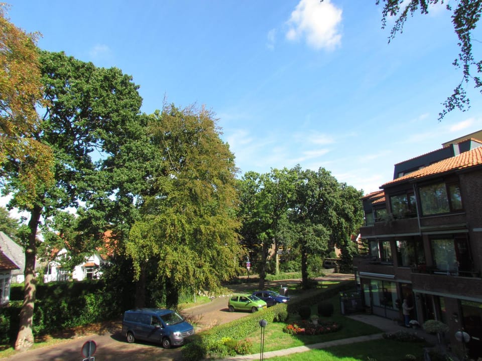 Neighbourhood, View (from property/room)