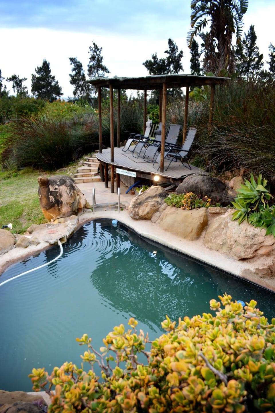 Swimming pool, Swimming pool