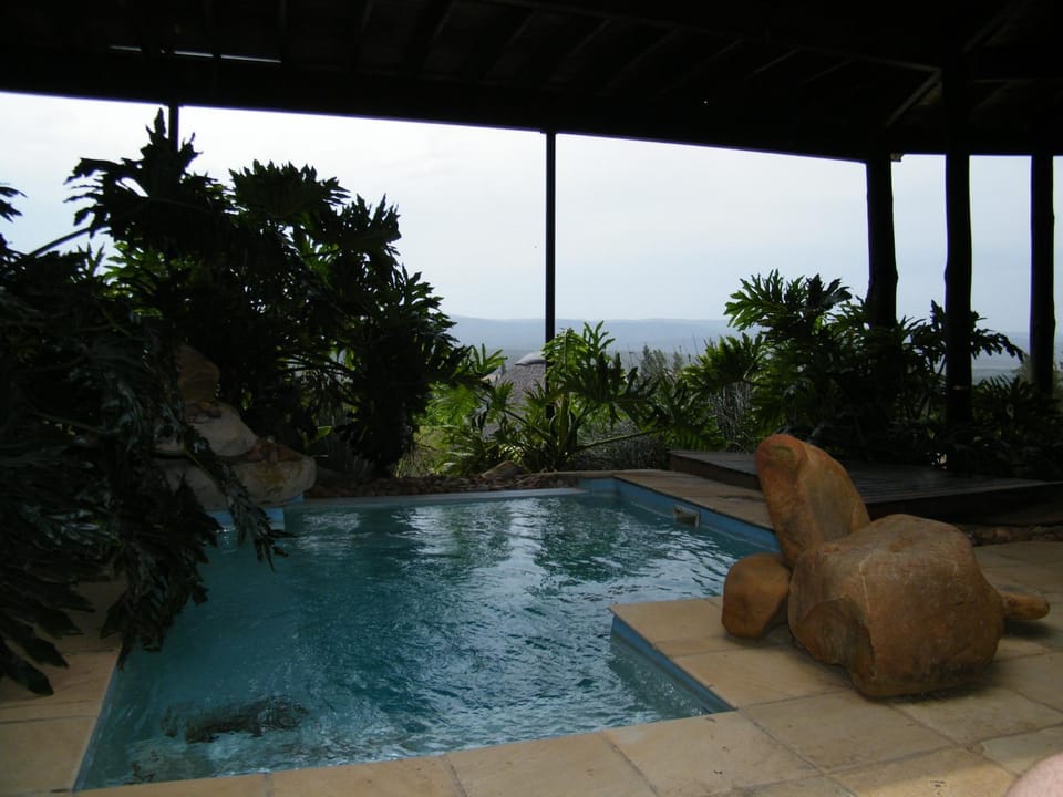 Decorative detail, Garden view, Swimming pool