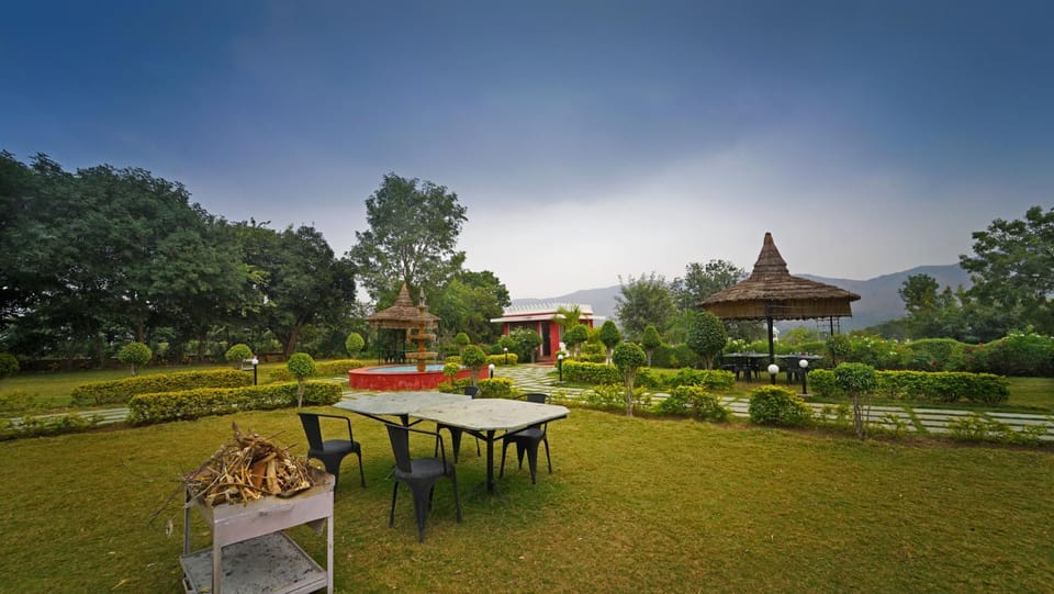 Garden view