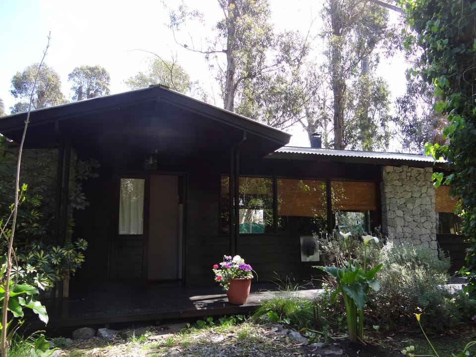 Shangri-La House in Mar del Plata