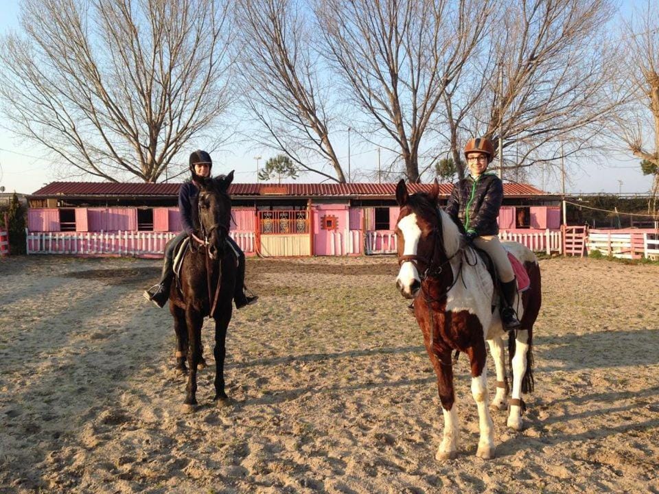 Off site, Horse-riding, Other