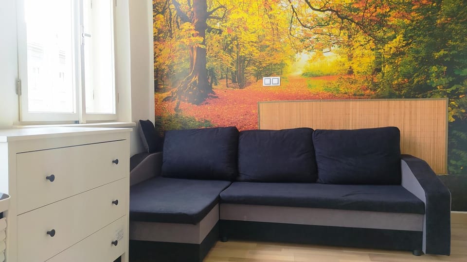 LOVELY Prague Apartment with AC Apartment in Prague