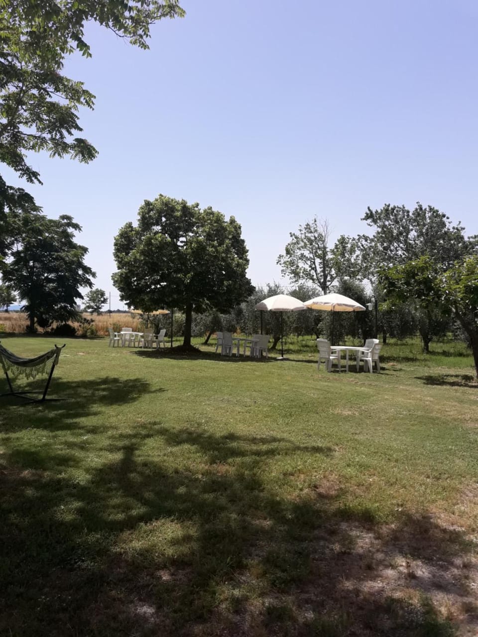 View (from property/room)