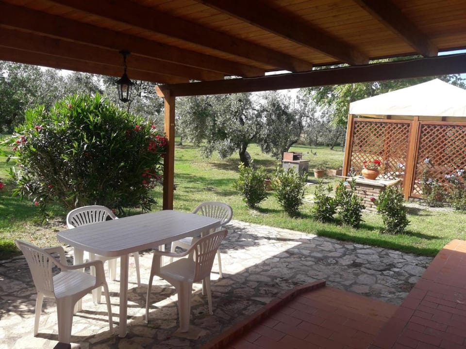 Patio, Garden, Garden view