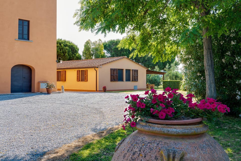 Property building, Garden view
