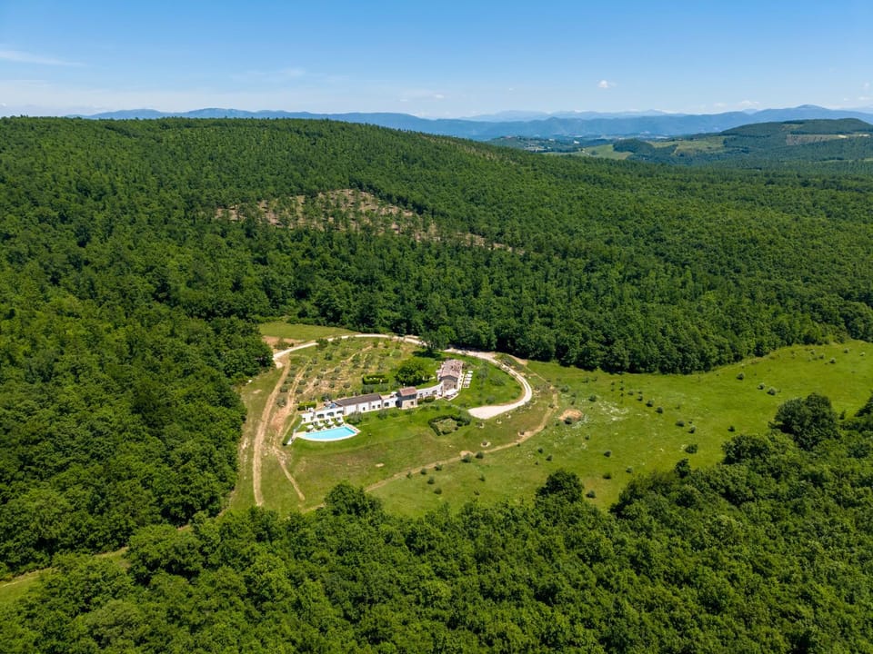 Property building, Bird's eye view, Garden