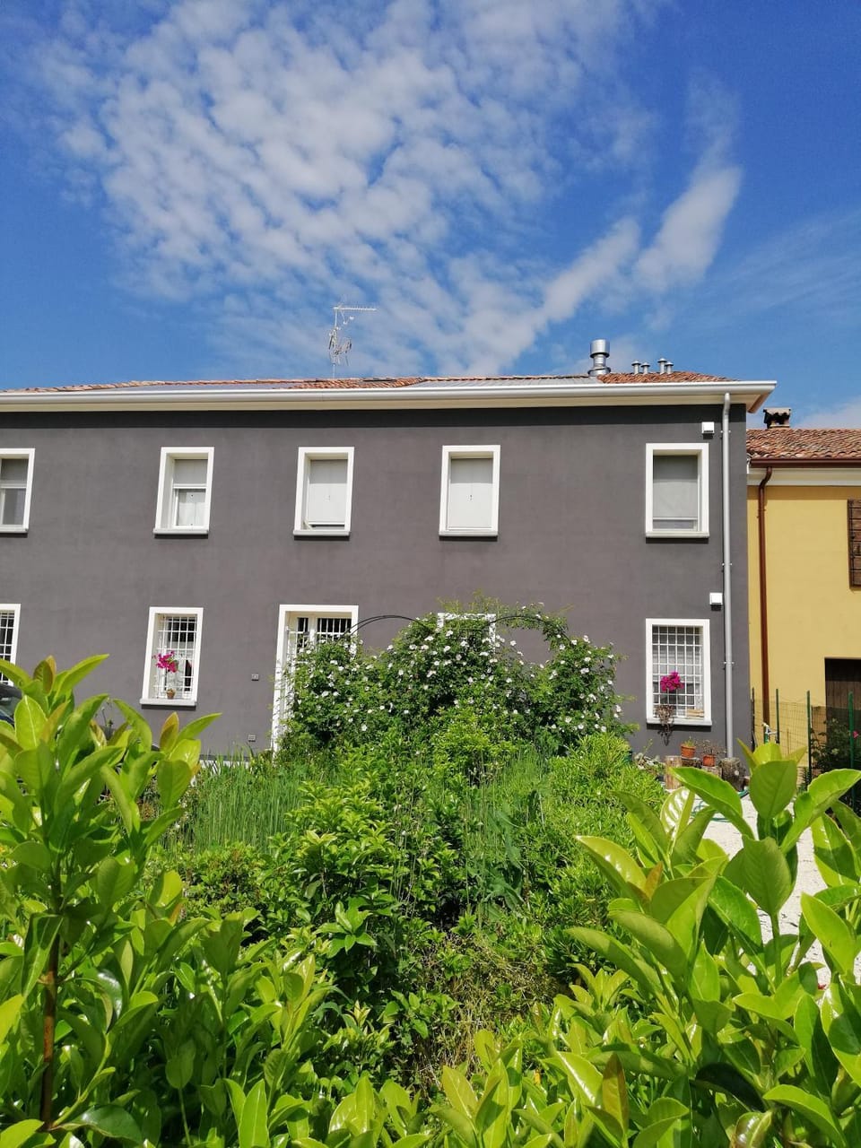 Zucchero sui Baffi- Food Lovers B&B Bed and Breakfast in Mantua