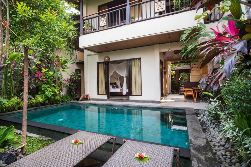 Garden, Pool view, Swimming pool, sunbed