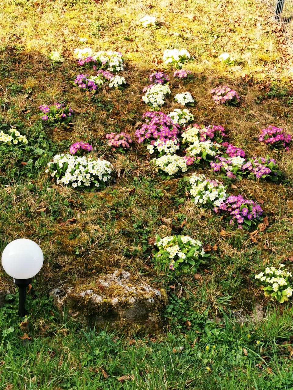 Clos des lys Apartment in Vosges