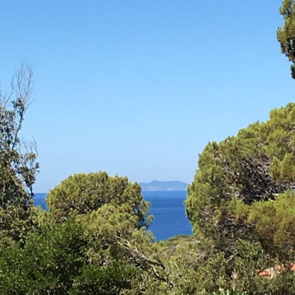 Casa al mare Livorno Apartment in Tuscany