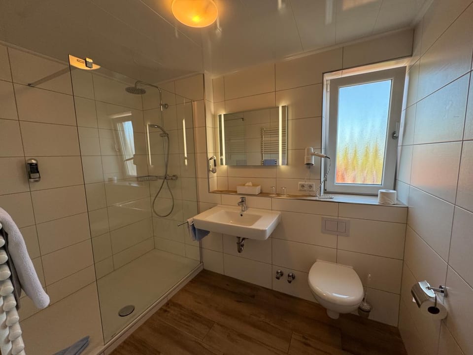 Shower, Toilet, Bathroom, towels