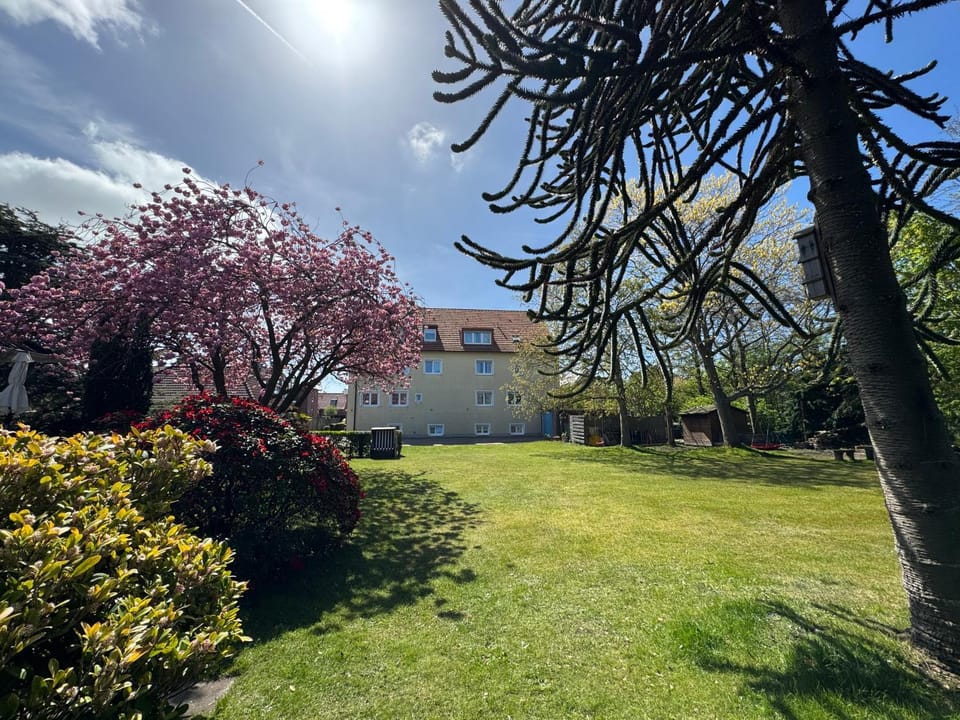 Property building, Garden, Garden view