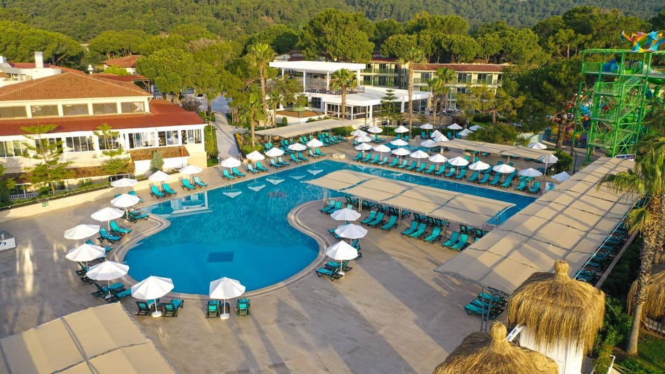 Natural landscape, Bird's eye view, Swimming pool