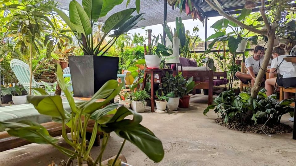 UNK'S HOUSE HOMESTAY Bed and Breakfast in Panglao