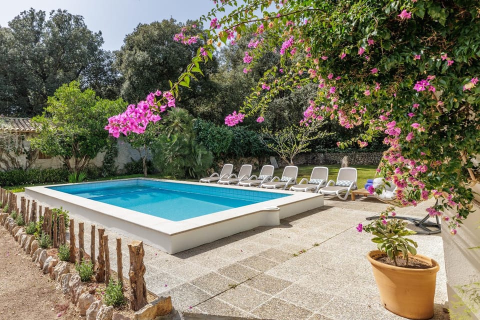 Garden, Swimming pool