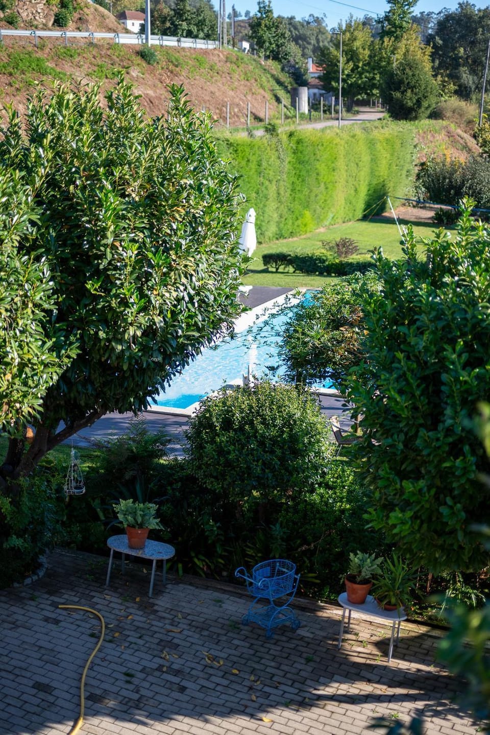 Natural landscape, Garden, Garden view, Pool view, Swimming pool