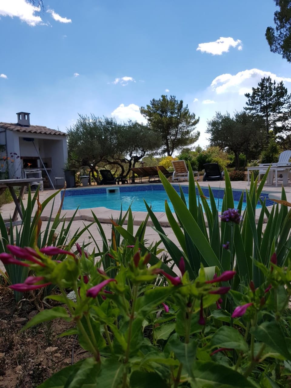 Pool view