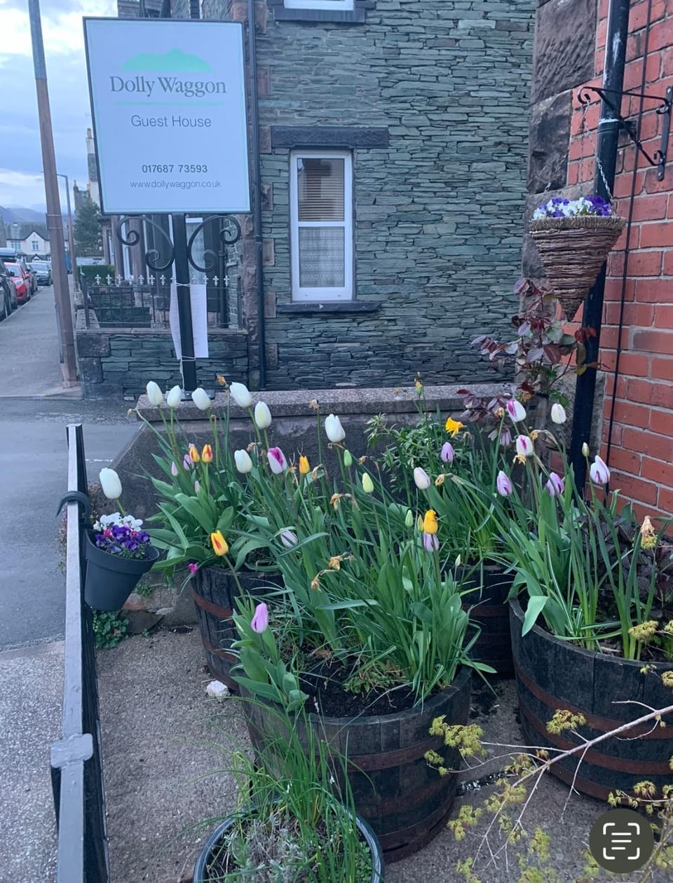 Garden, Internal: Not applicable to any particular room