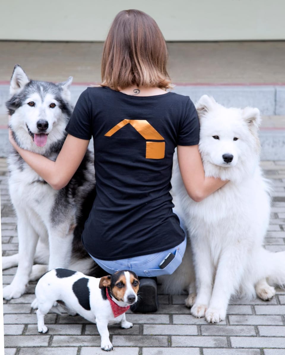 People, Other, Pets