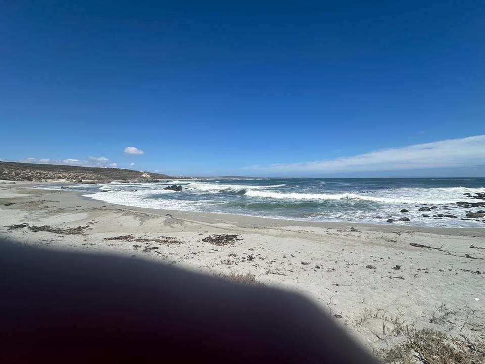 Musselcracker bed and breakfast Bed and Breakfast in Western Cape