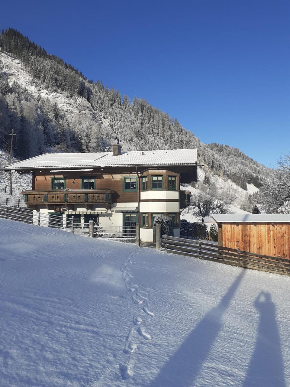 Property building, Winter