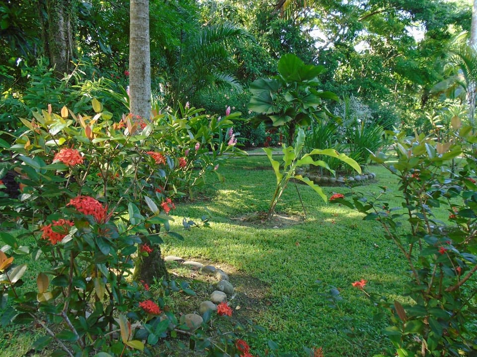 Natural landscape, Garden
