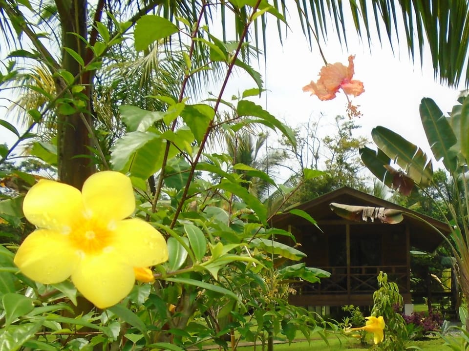 Natural landscape, Garden