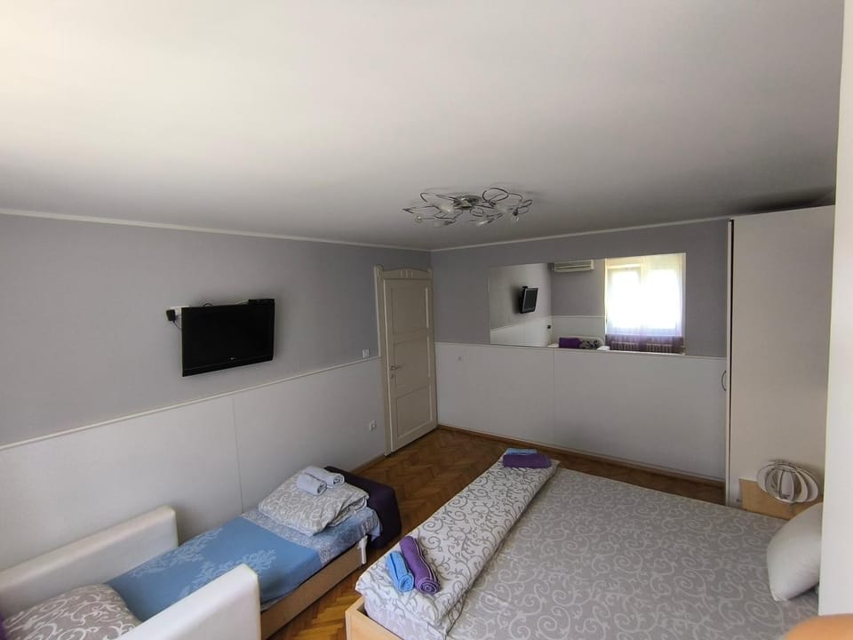 Central apartment with garage Apartment in Novi Sad