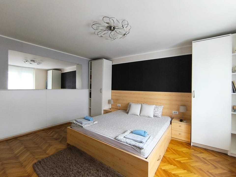 Central apartment with garage Apartment in Novi Sad