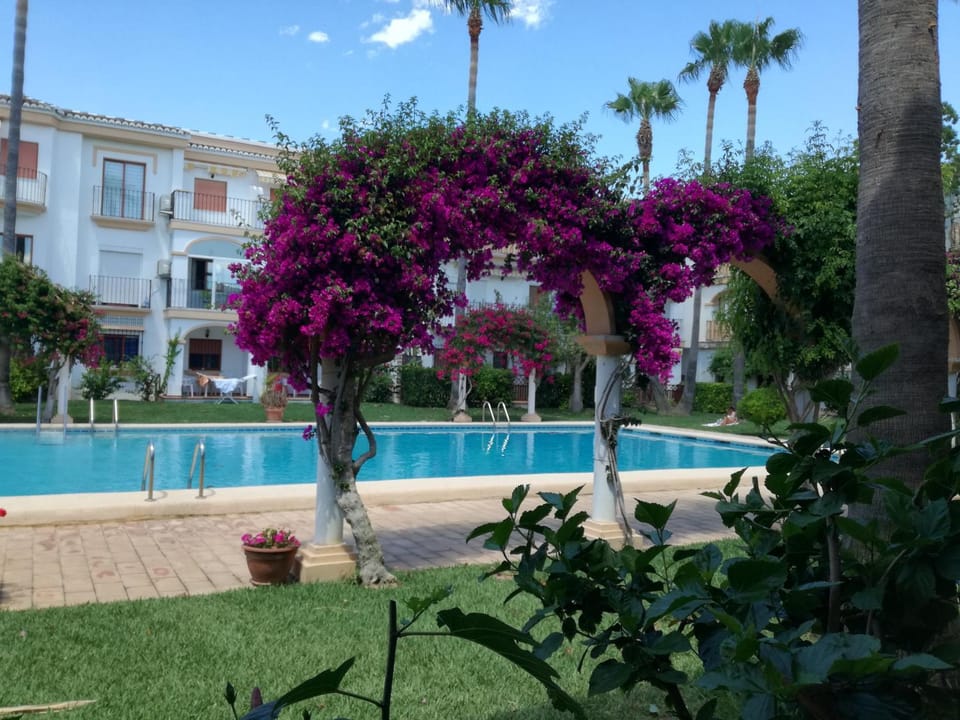 Garden, Swimming pool