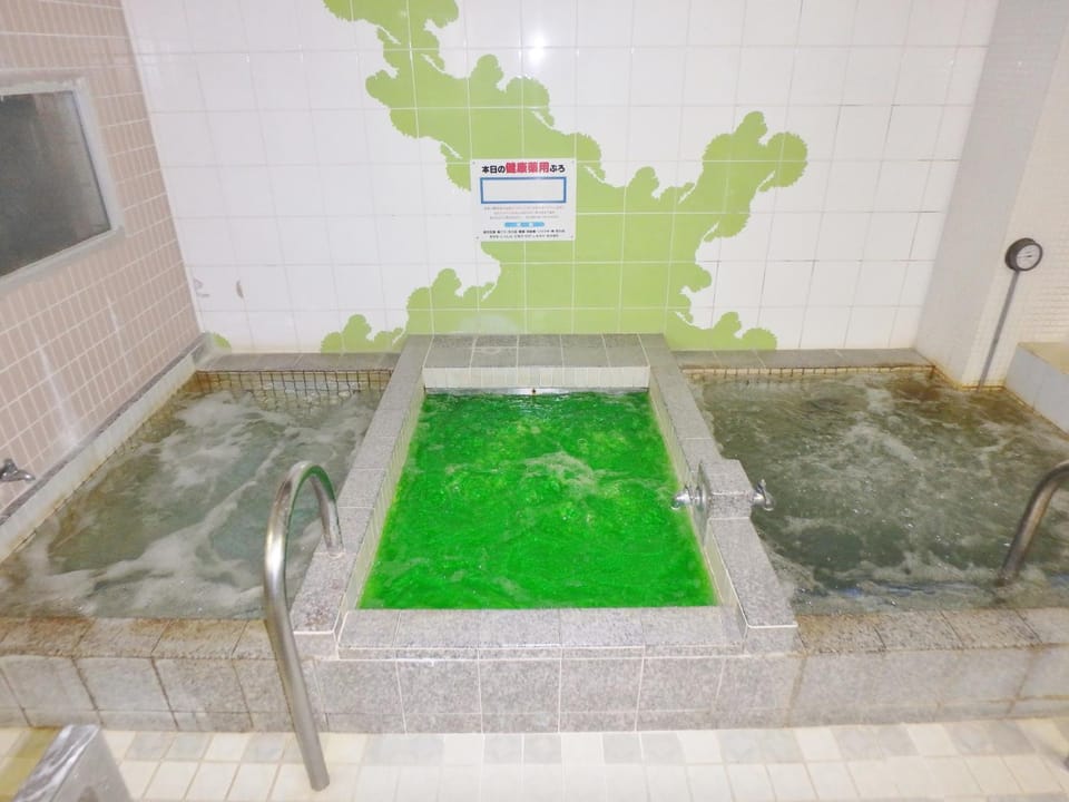 Azuma no Yu Ryokan in Nagano Prefecture