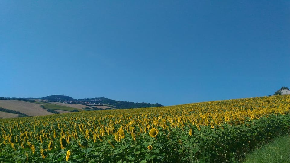 Natural landscape