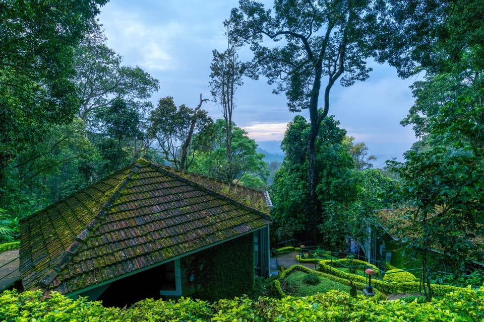 Natural landscape