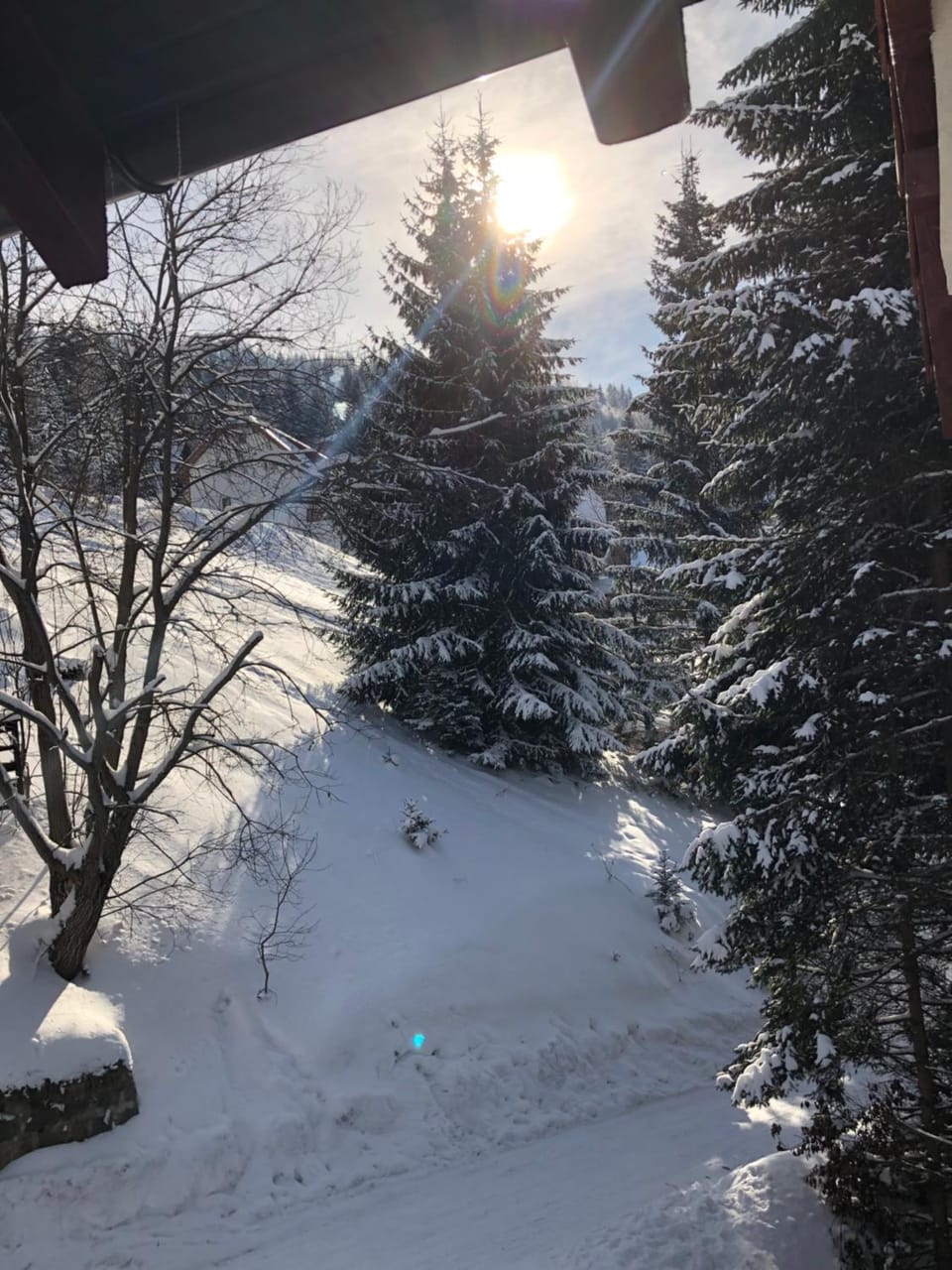 Day, Natural landscape, Winter