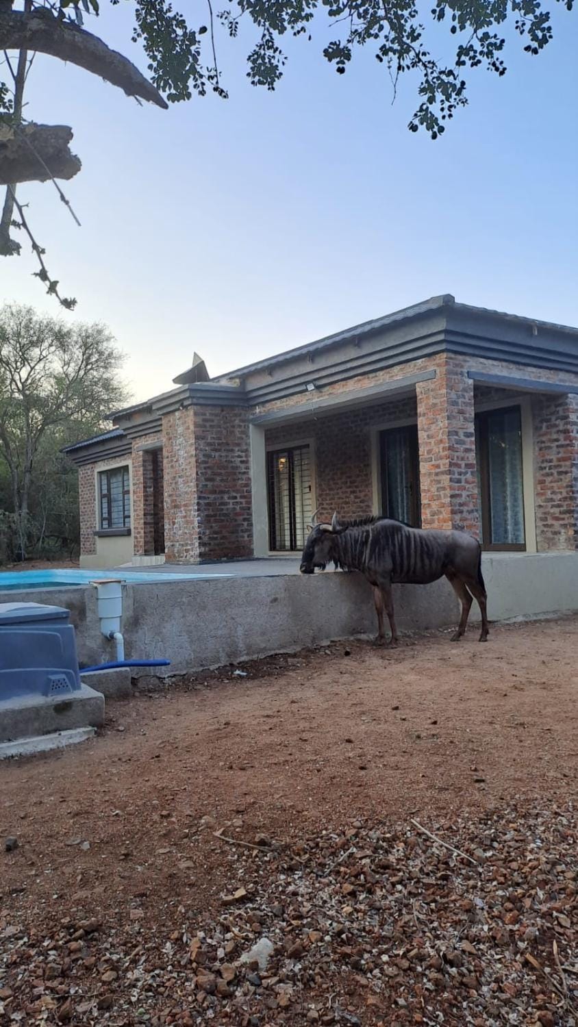 Nanisto Bush Lodge Nature lodge in South Africa