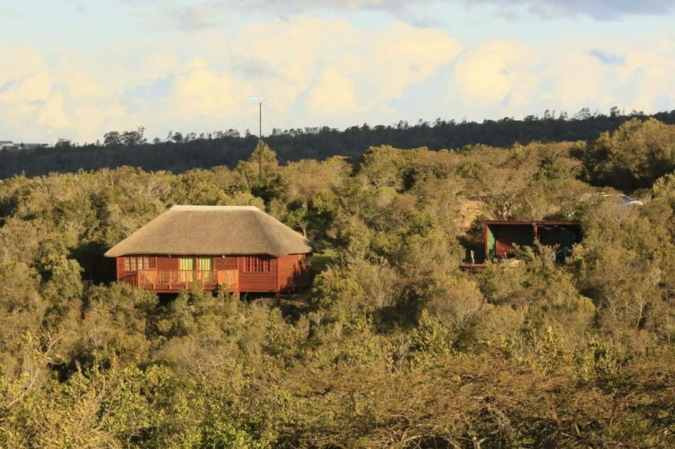 Natural landscape