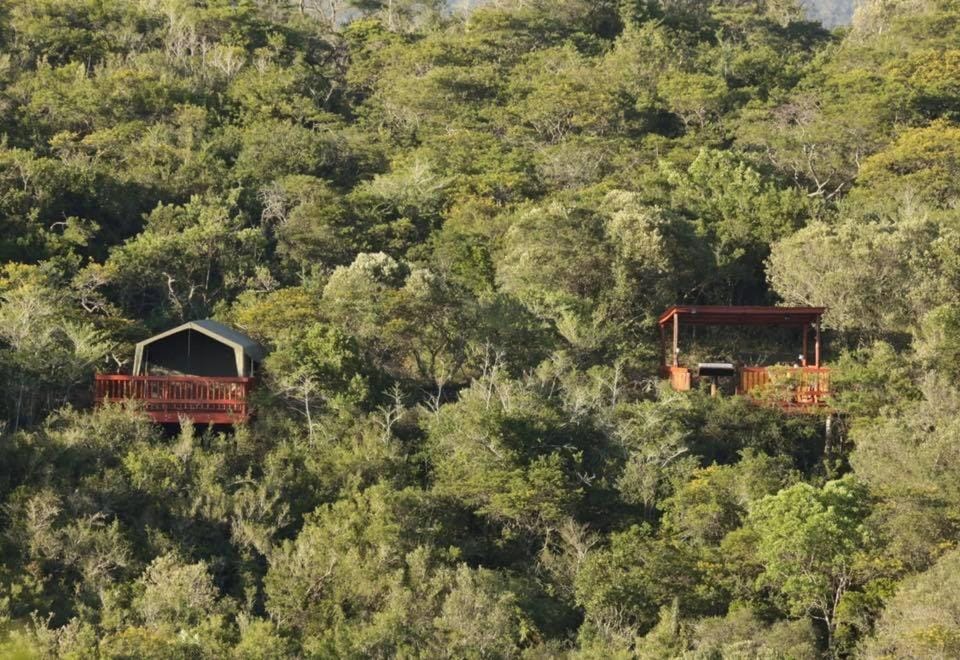 Natural landscape, Bird's eye view, Photo of the whole room, On site