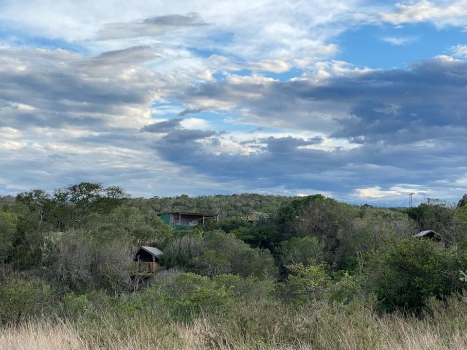 Natural landscape