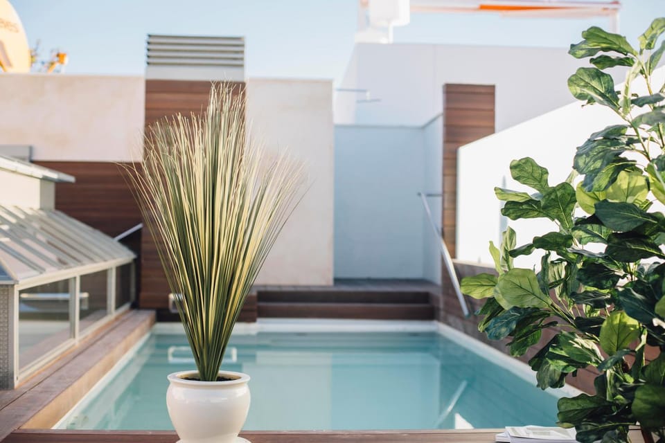 Swimming pool, Swimming pool