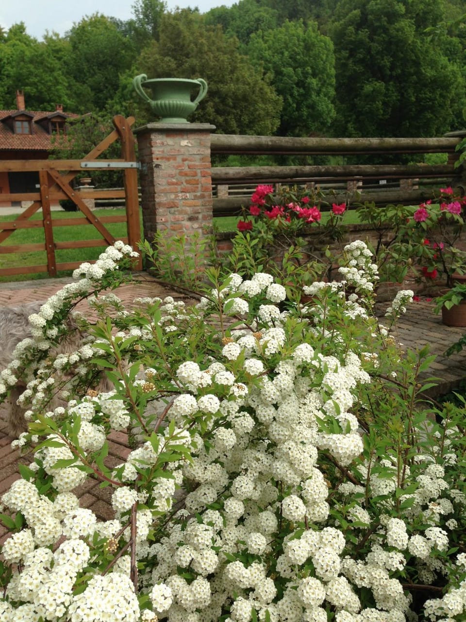 B&B Il Quadrifoglio Country House in Piedmont