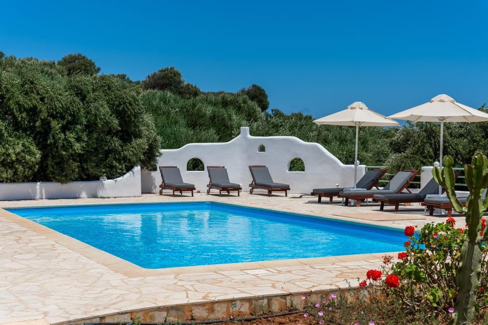 Day, Natural landscape, Garden, Garden view, Pool view, Swimming pool, sunbed