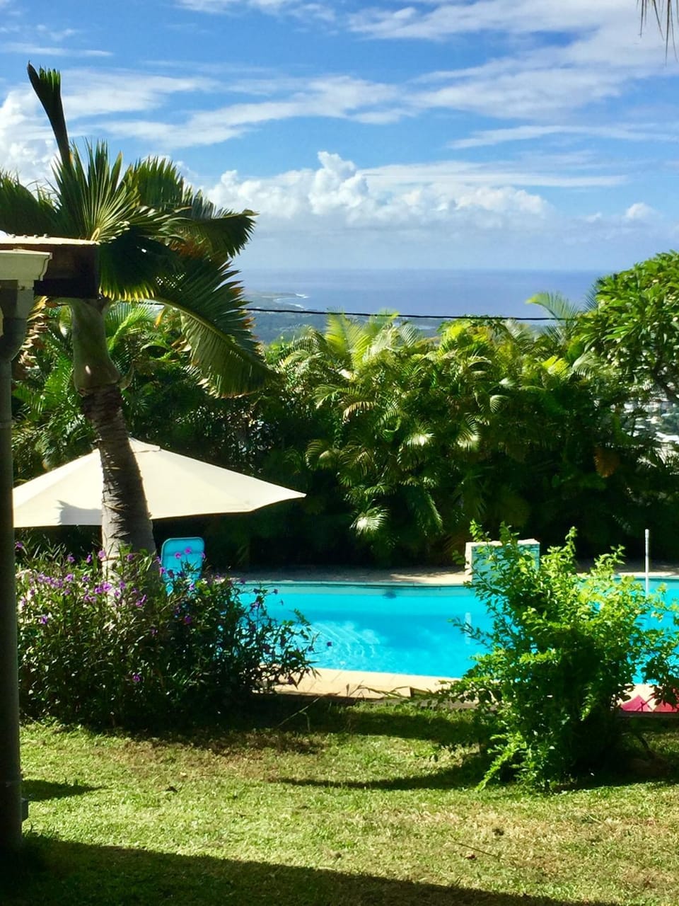 Garden, Pool view, sunbed