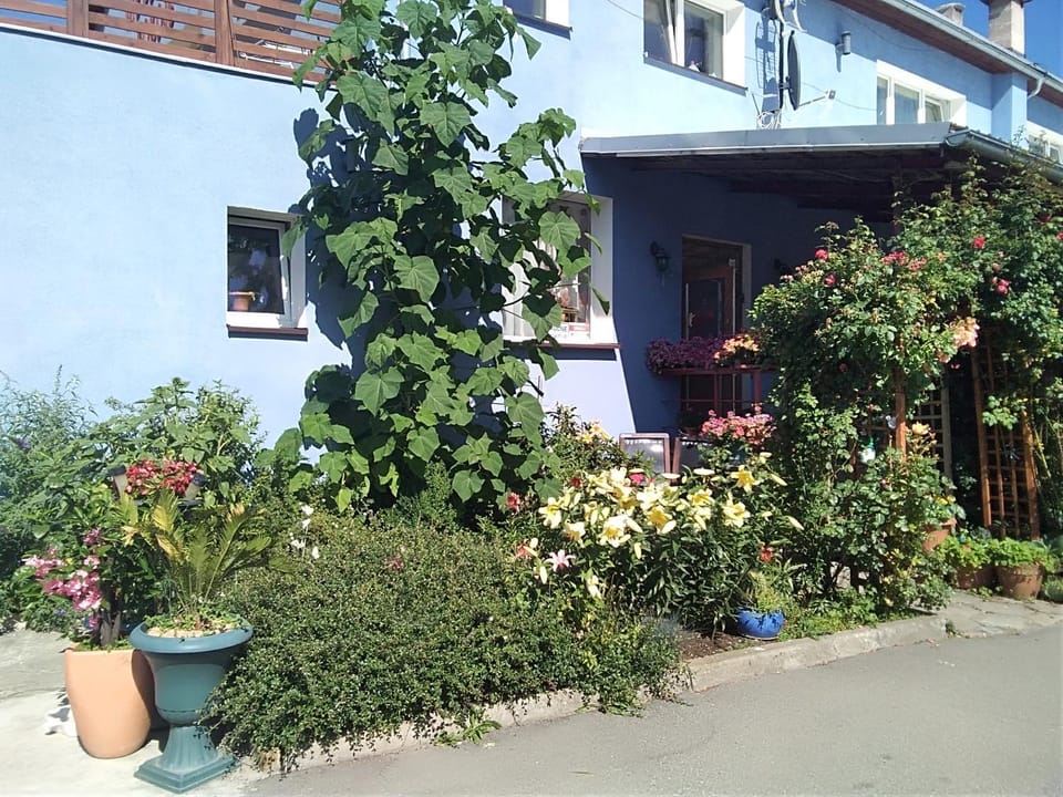 Finezja Wiedeńska Vacation rental in Lower Silesian Voivodeship