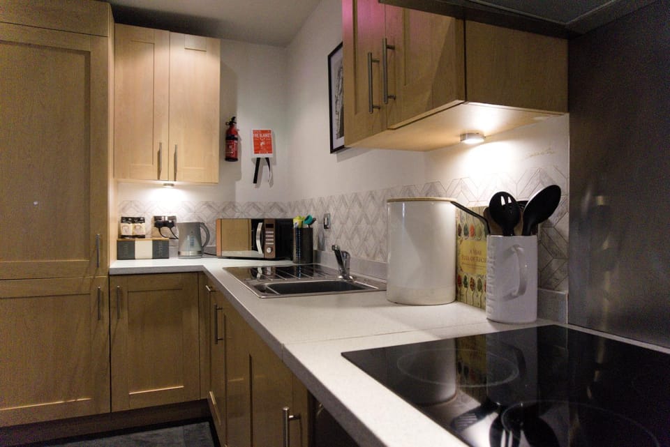 dishwasher, minibar, stove, kitchen