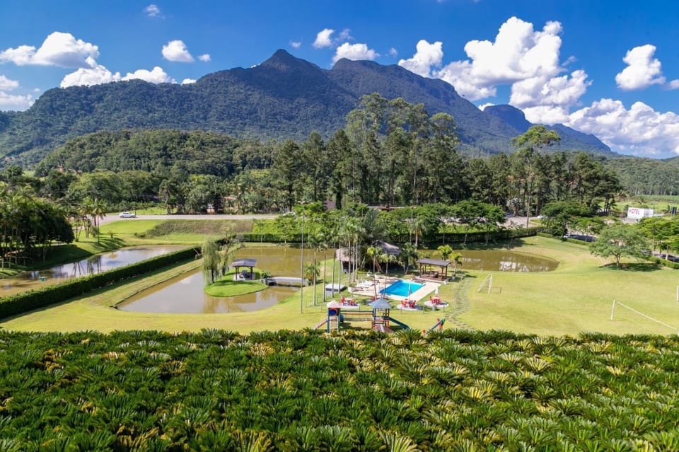 Garden, Swimming pool, Swimming pool
