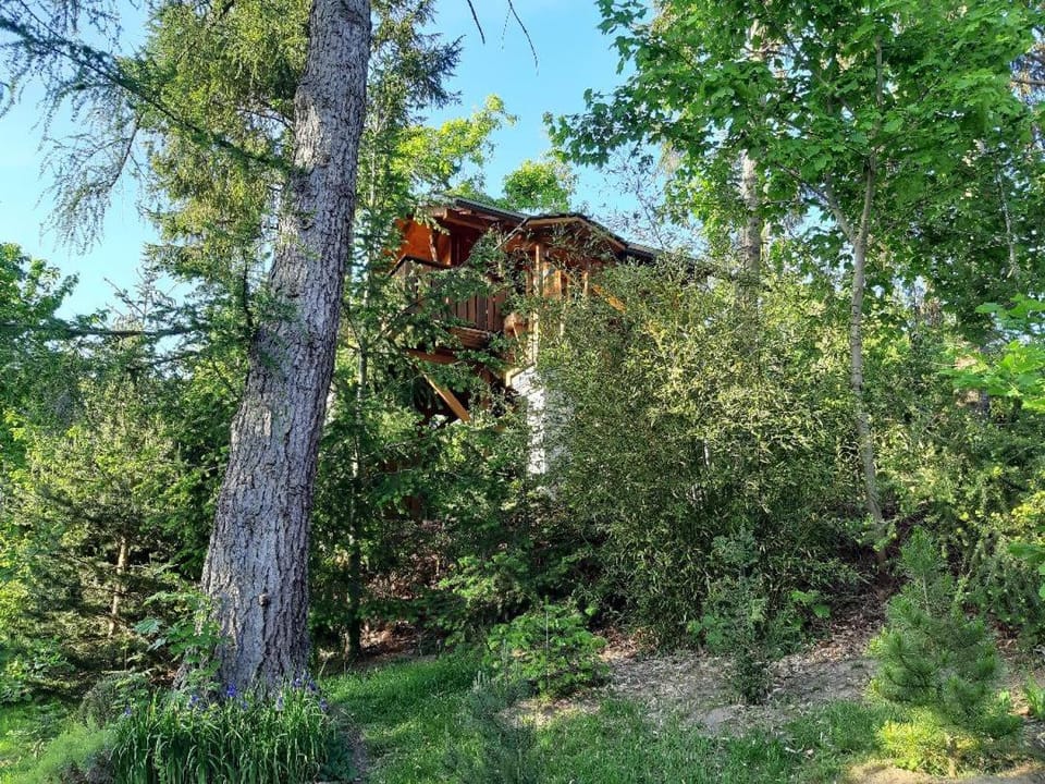 Baumhaus Wolfshöhle Chalet in Bavaria